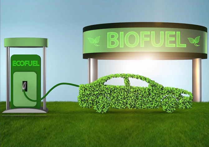 Conference on Biofuels